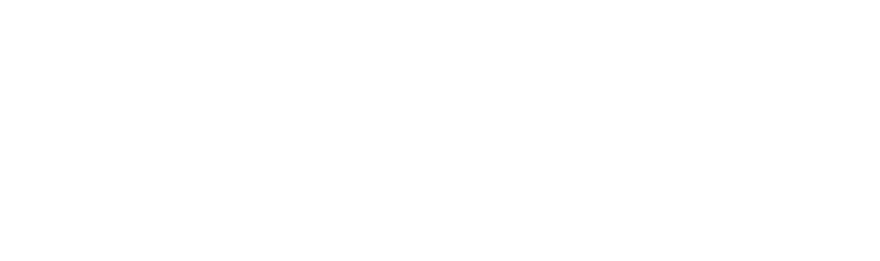 Nyrup IT logo